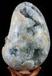 Crystal Filled Celestine (Celestite) Egg Geode - With Stand #59366-3